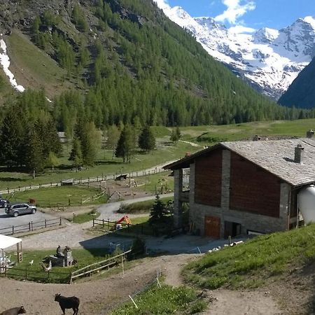 La Ferme Du Grand Paradis Cogne Dış mekan fotoğraf