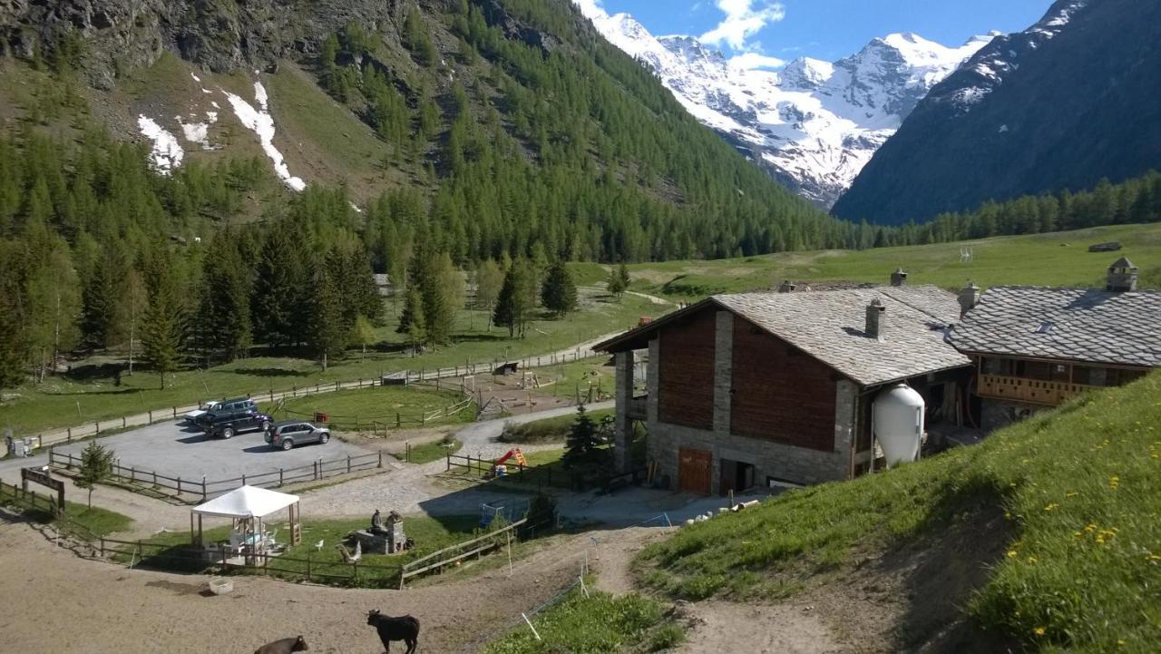 La Ferme Du Grand Paradis Cogne Dış mekan fotoğraf