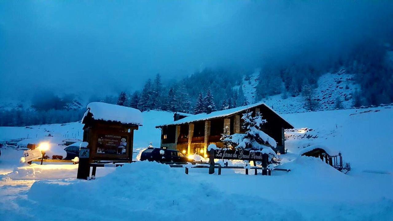 La Ferme Du Grand Paradis Cogne Dış mekan fotoğraf