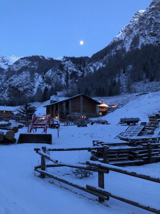 La Ferme Du Grand Paradis Cogne Dış mekan fotoğraf