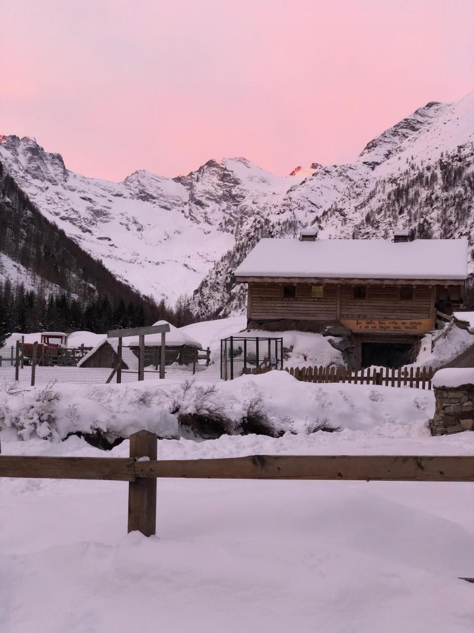 La Ferme Du Grand Paradis Cogne Dış mekan fotoğraf